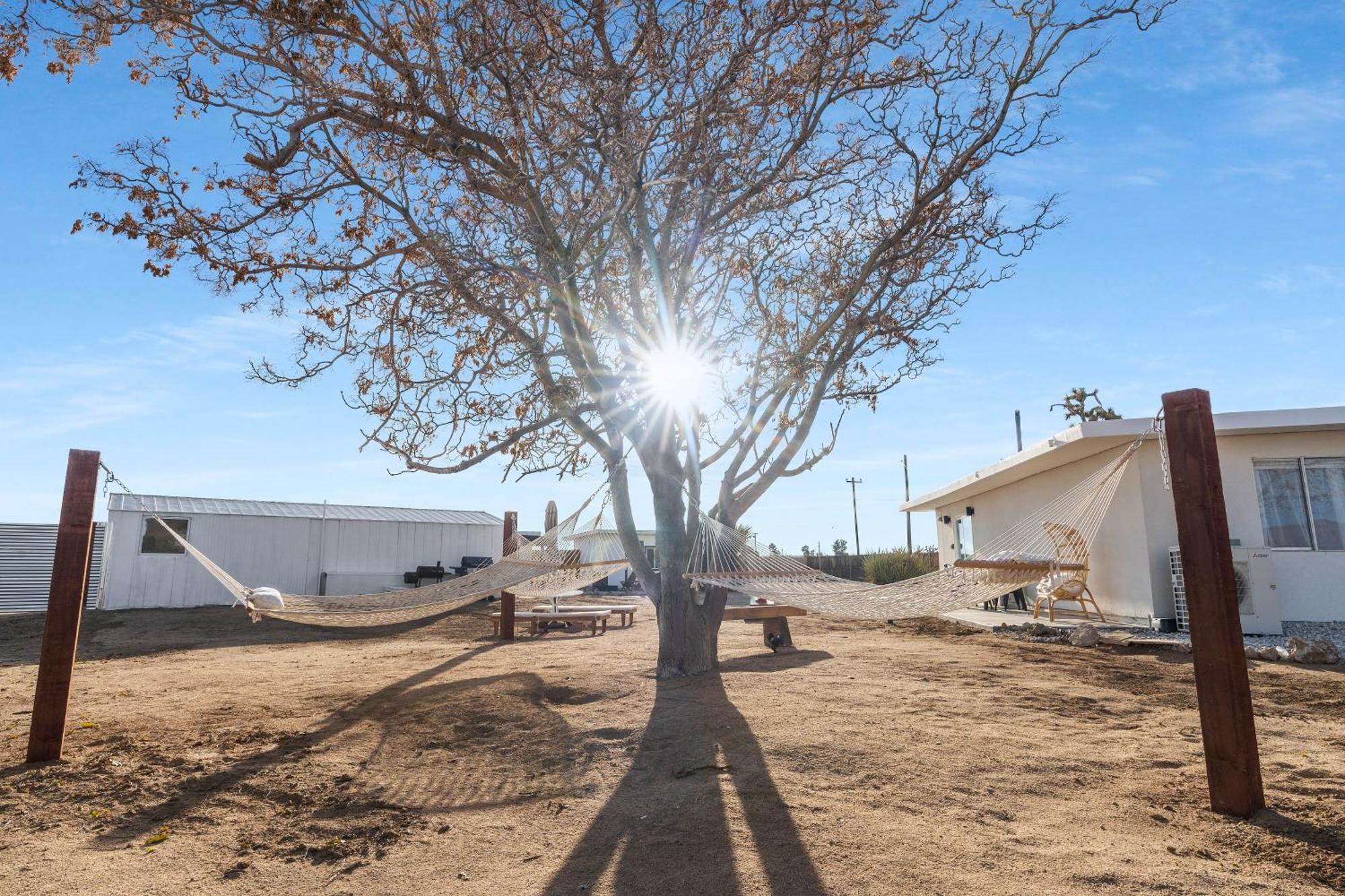 Private Jt Cabin - Ev L2 Station, Hammocks, Fire Pit, Bbq, Bocce Ball, Cornhole Yucca Valley Esterno foto